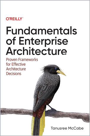 Fundamentals of Enterprise Architecture