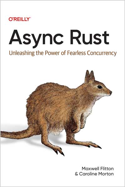Async Rust