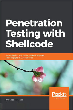 Penetration Testing with Shellcode