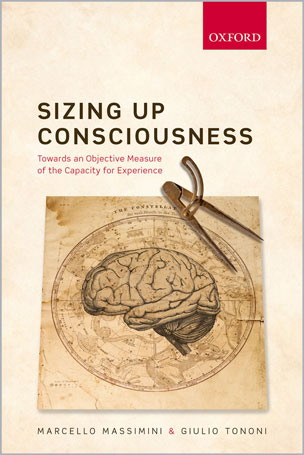 Sizing Up Consciousness