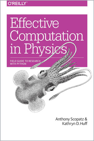 Effective Computation in Physics
