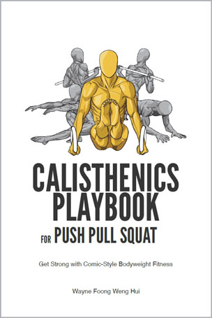 Calisthenics Playbook for Push Pull Squat