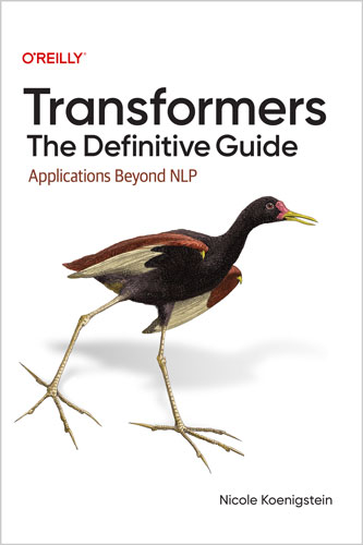 Transformers: The Definitive Guide