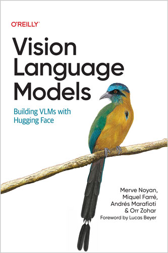 Vision Language Models