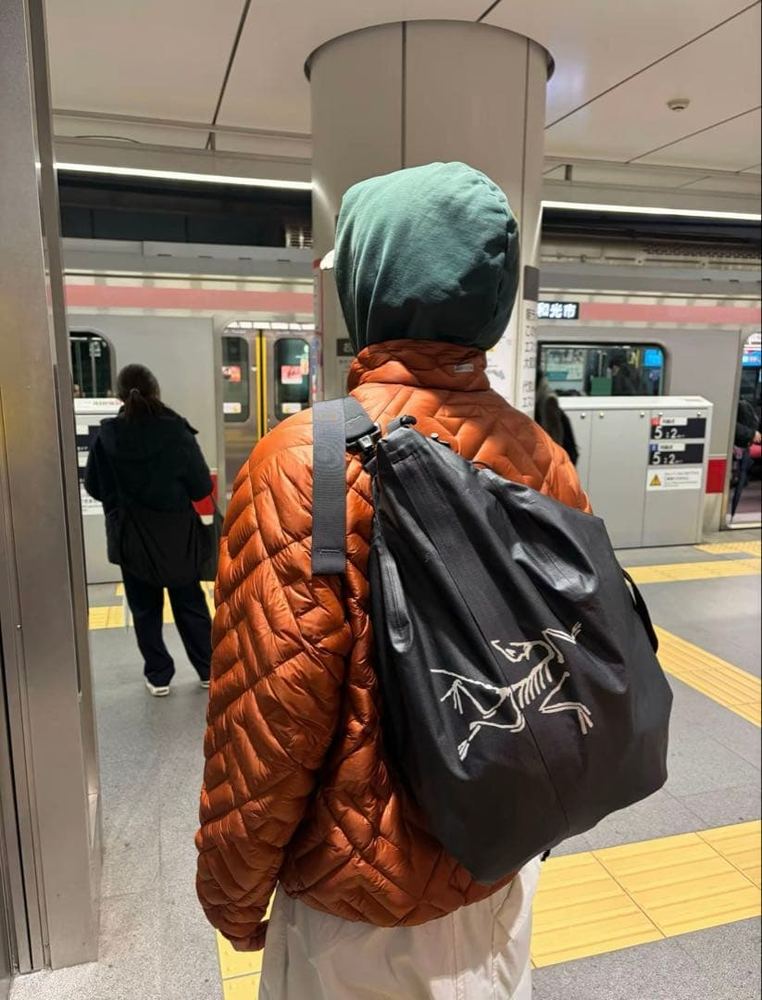 ARC'TERYX - 廃盤アークテリクス キャリアダッフル35L