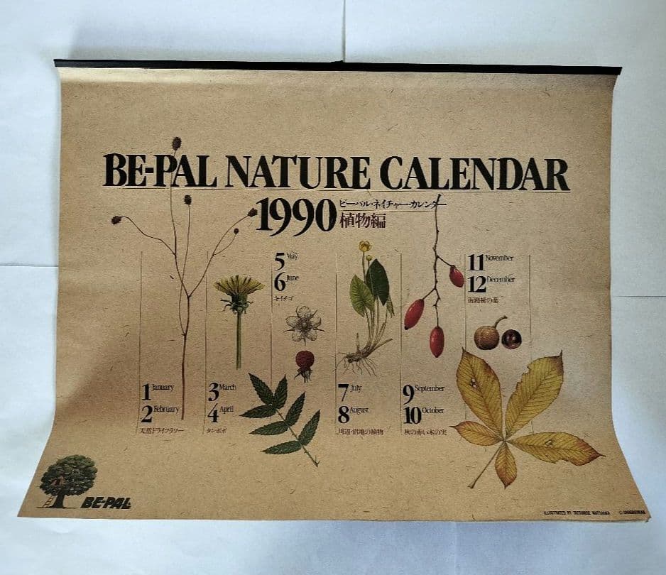 BE-PAL ビーパル 暦 新品未当てはめる 1990 草木 ヴィンテージ