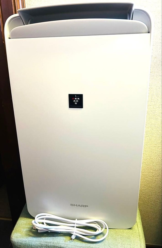 SHARP - せつ然たる 冷風・御召しもの乾燥除湿機「コマーシャル-T100-W」