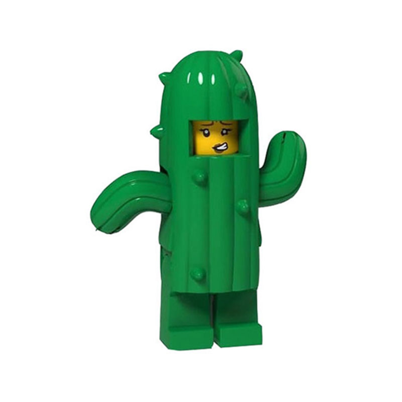 ساختنی ادمک فله مدل Cactus Girl