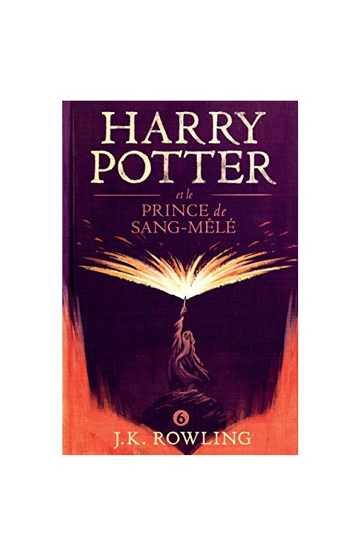 Harry potter t 6 harry potter et le prince de sang mele خرید کتاب فرانسه