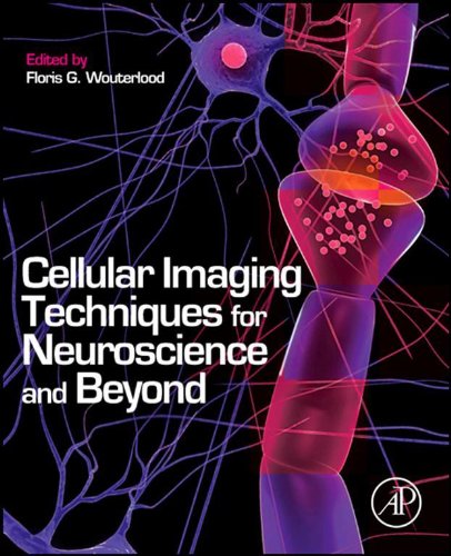 تکنیک های تصویربرداری سلولی برای علوم اعصاب و فراتر از آن ۲۰۱۲ <br> Cellular Imaging Techniques for Neuroscience and Beyond 2012 - کالیبو