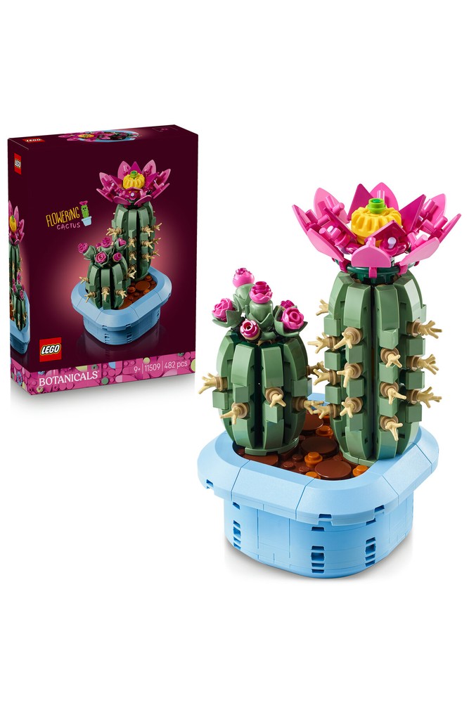 مجموعه ساختنی کاکتوس گل‌دار لگو LEGO Botanicals 11509، ۴۸۲ قطعه