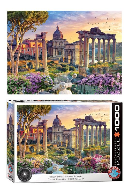 پازل ۱۰۰۰ قطعه Roman Forum ۶۰۰۰-۶۰۰۳
