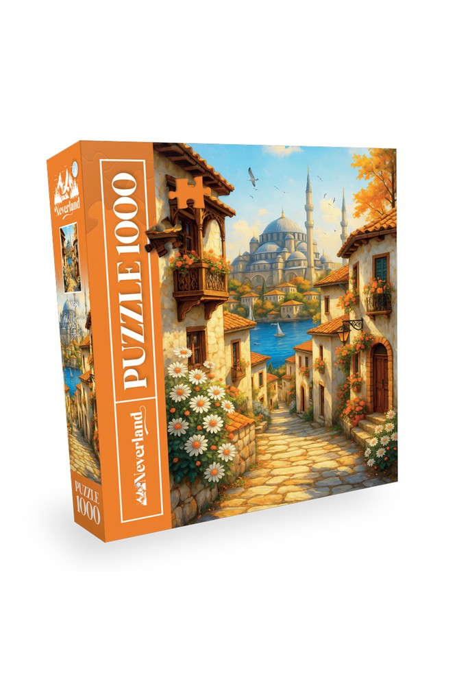 پازل 1000 تکه Neverland طرح Old Istanbul Street
