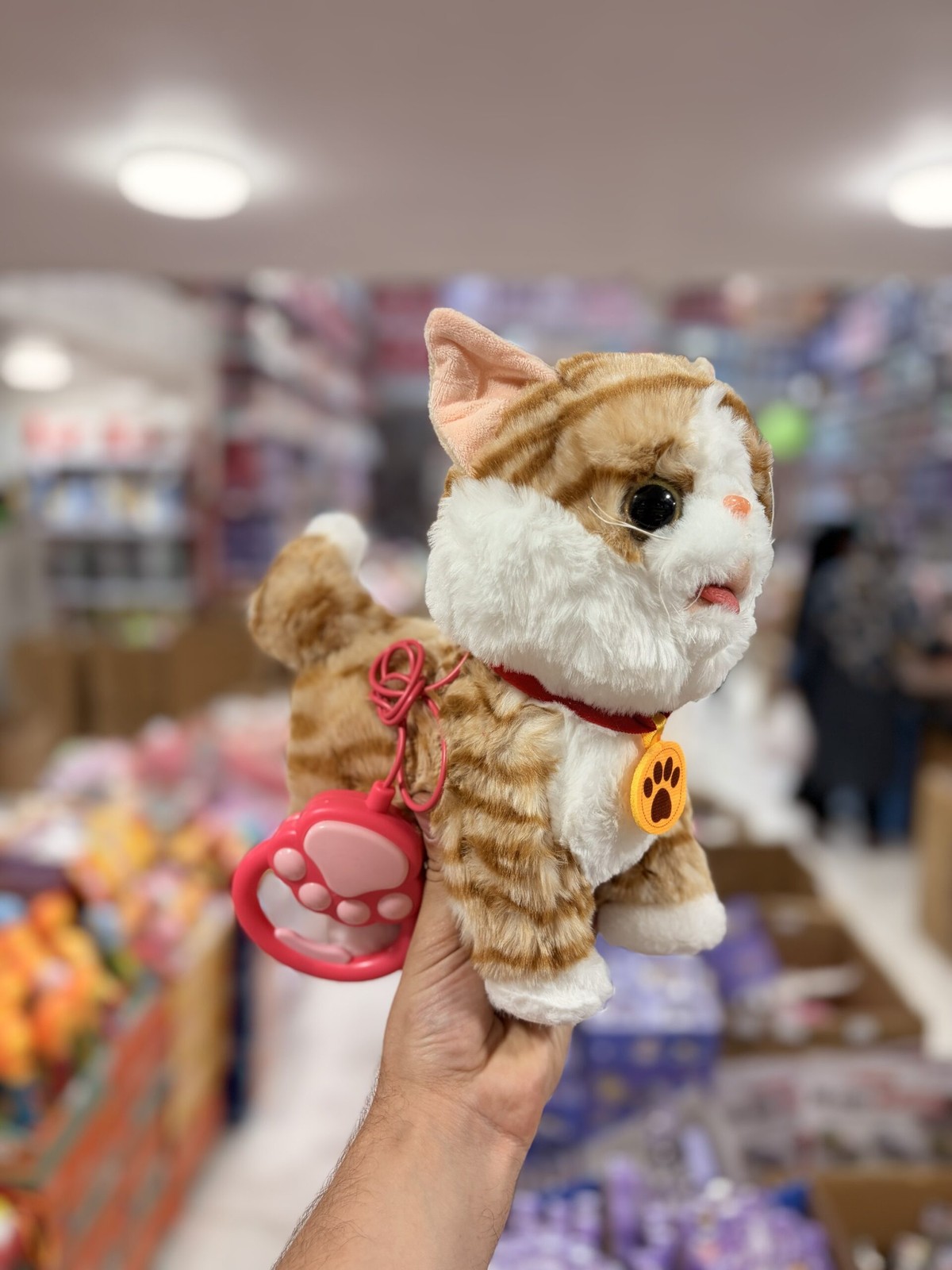 گربه کنترلی حسگر دار