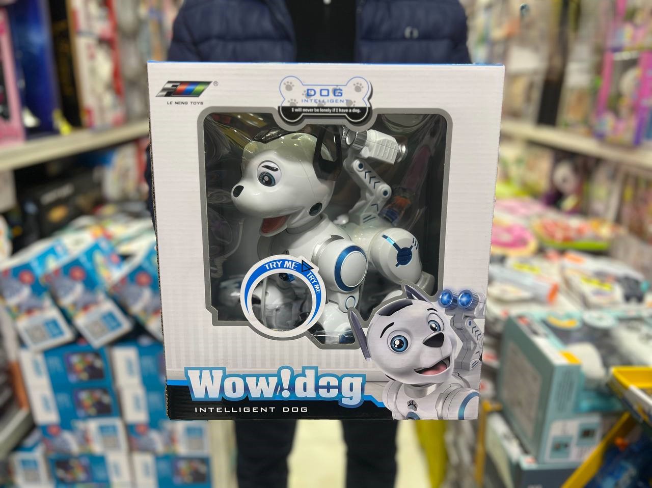 سگ کنترلی شارژی