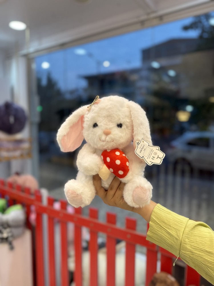 خرگوش قارچ به دست