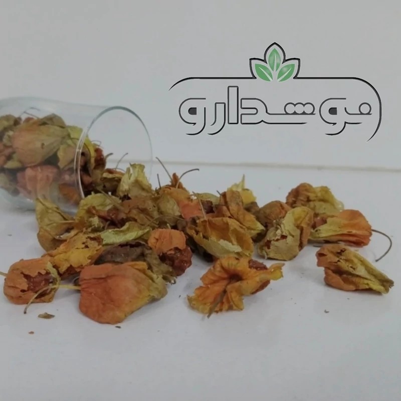 عروسک پشت پرده (کاکنج) 100 گرمی