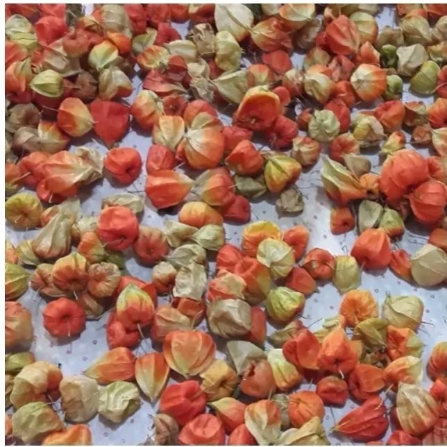 عروسک پشت پرده یا کاکنج 200 گرمی اعلا