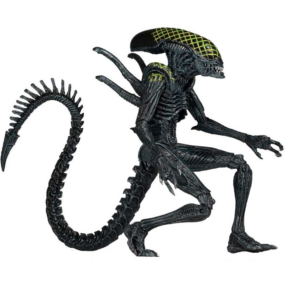 اکشن فیگور آلین بیگانه مدل Alien Xenomorph AVP Grid برند نکا الین پردیتور