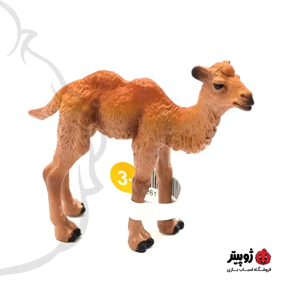 فیگور بچه شتر شرقی