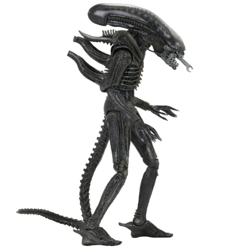 اکشن فیگور آلین Alien ارتفاع 55 سانت اورجینال برند نکا Neca الین
