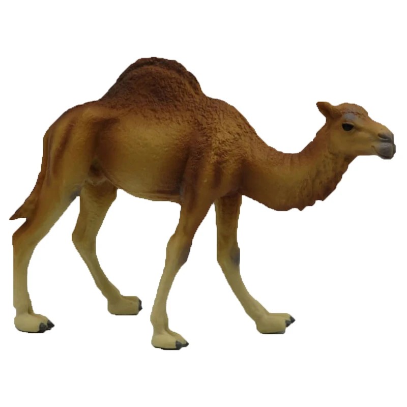 فیگور مدل شتر تک کوهان