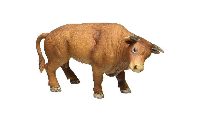فیگور گاو رقابتی
