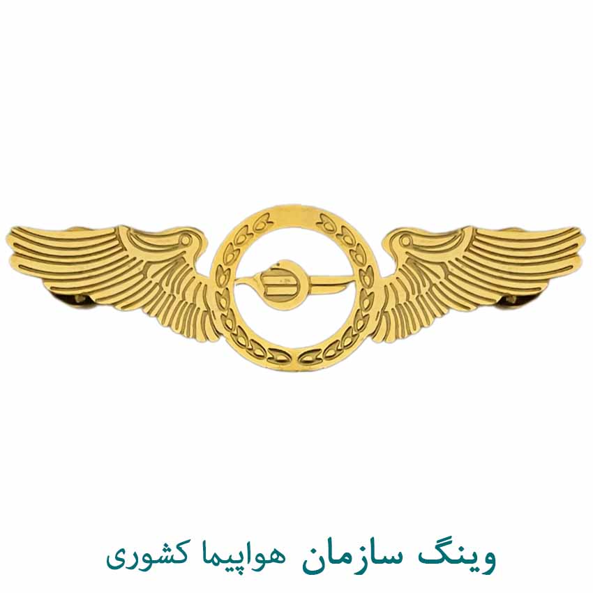 وینگ خلبانی هواپیما کشوری