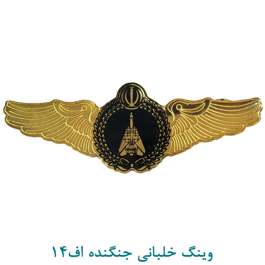وینگ خلبانی جنگنده F14