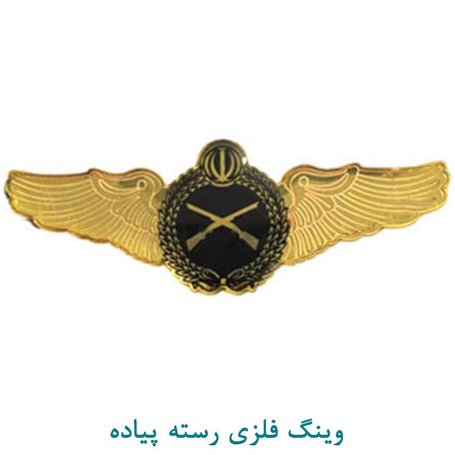 وینگ فلزی رسته پیاده