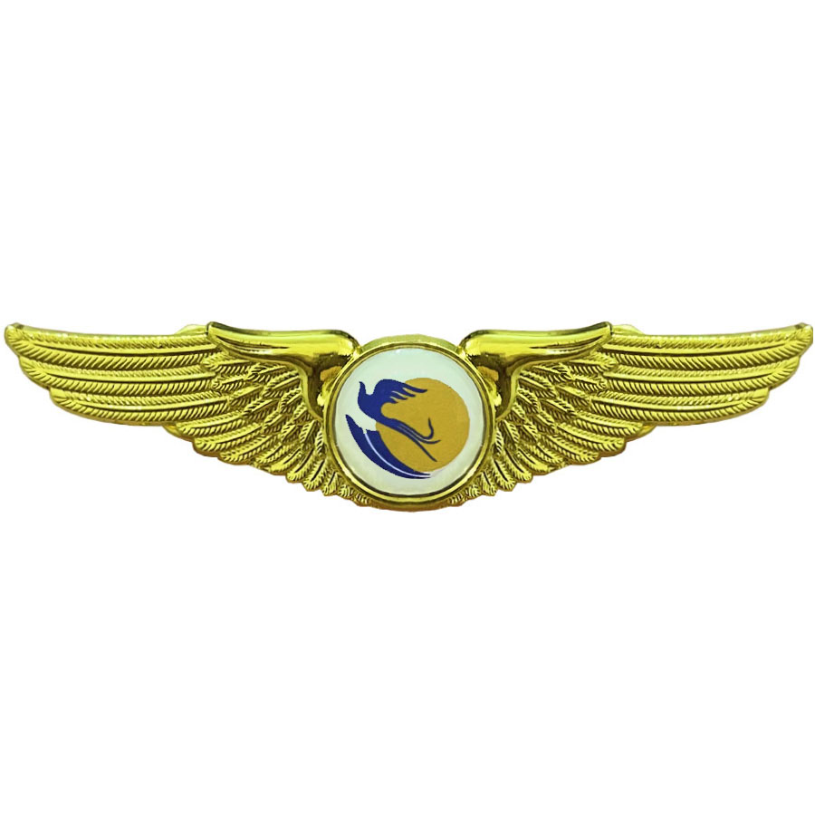 وینگ خلبانی کاسپین