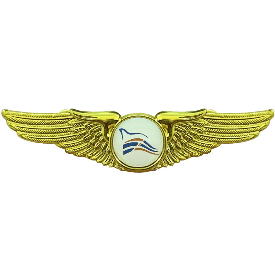 وینگ خلبانی زاگرس