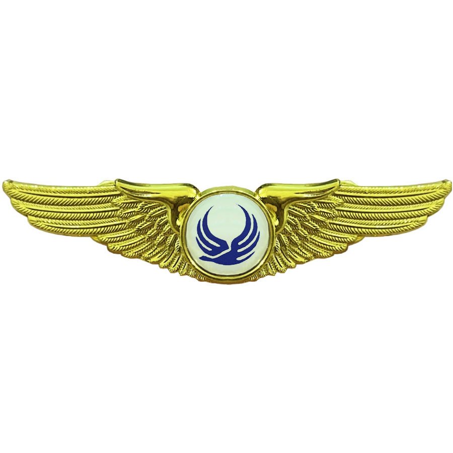 وینگ خلبانی آسمان