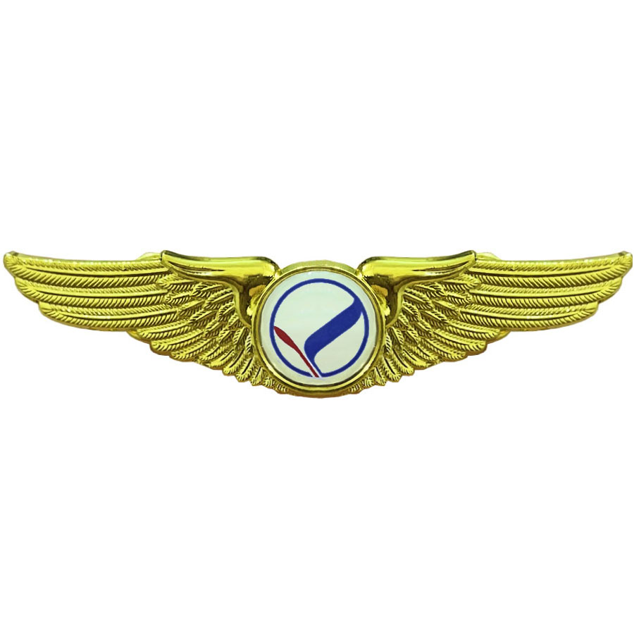 وینگ خلبانی معراج