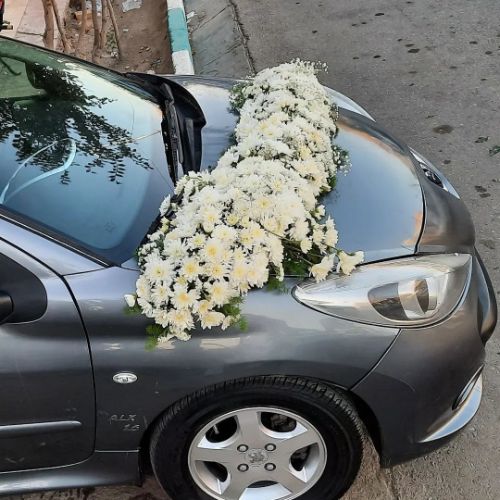 ماشین عروس پژو 207 4026
