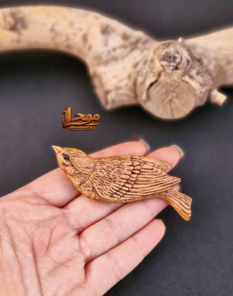 گنجشک چوبی