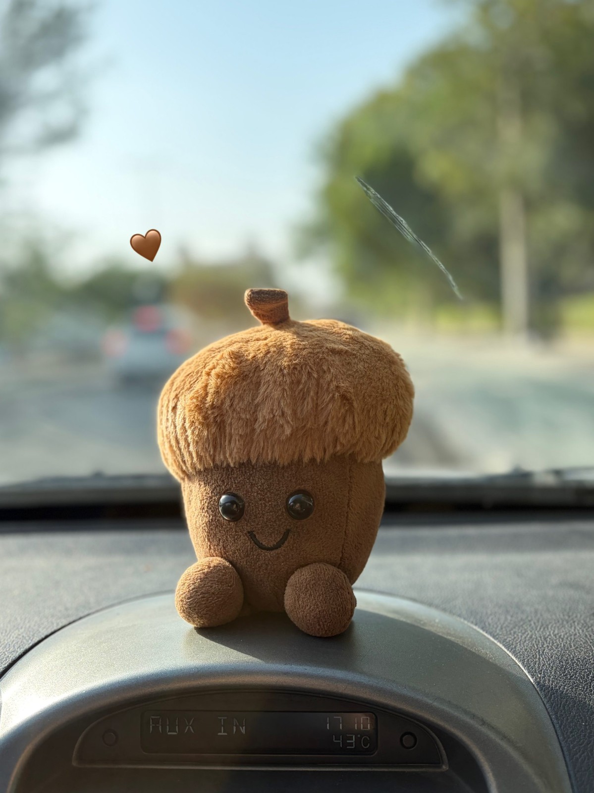 اقای بلوط