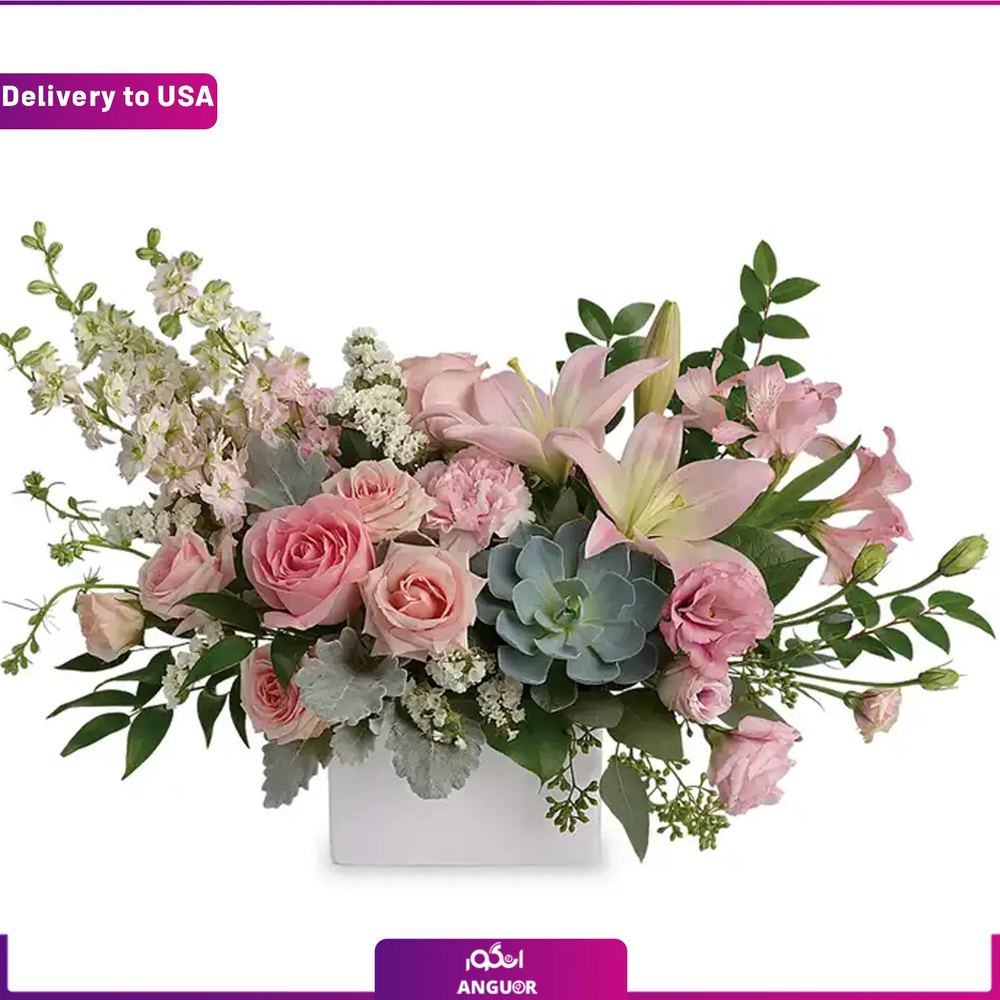 (Delivery to USA) Modern Arrangement