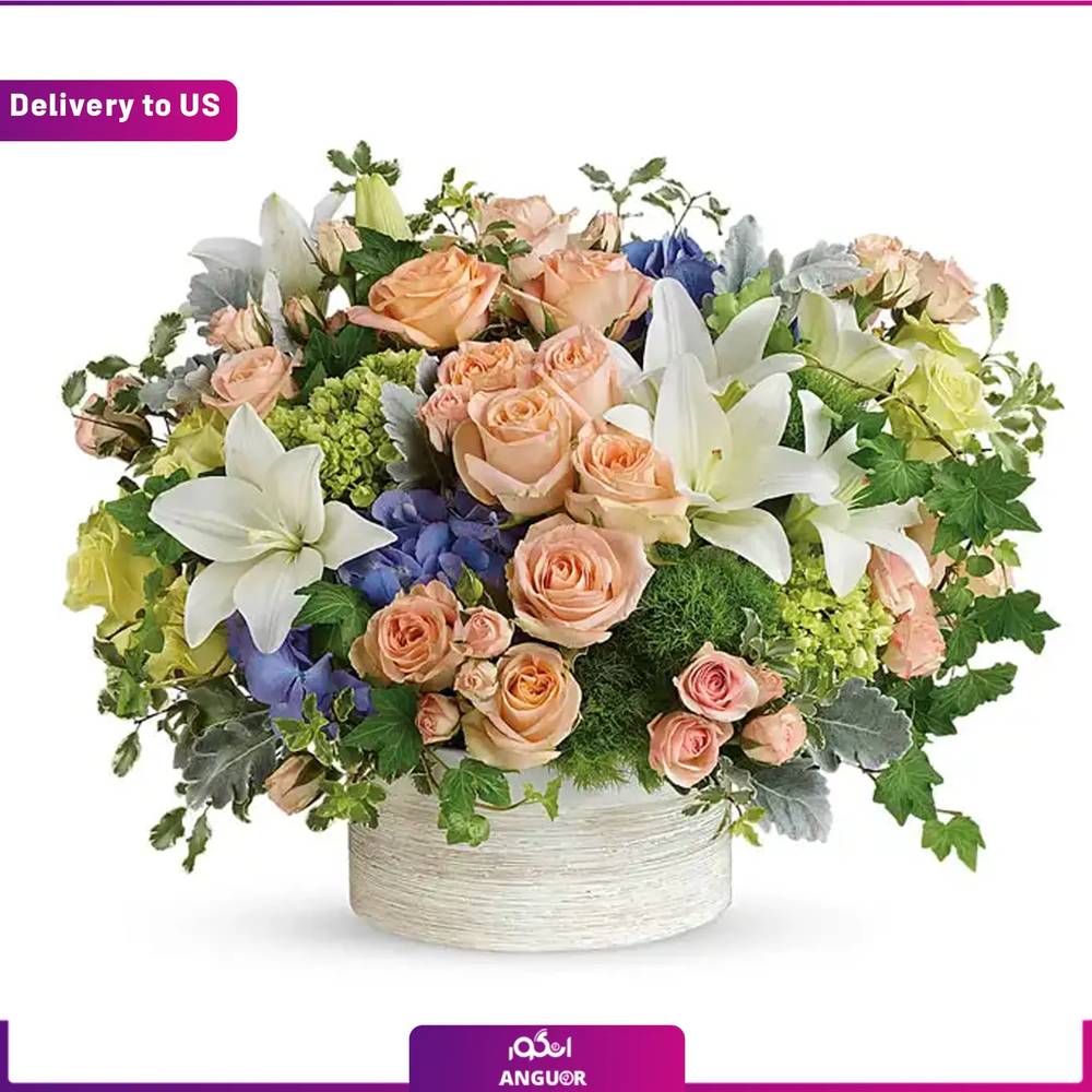 (Delivery to USA) Wild Peach Rose Garden