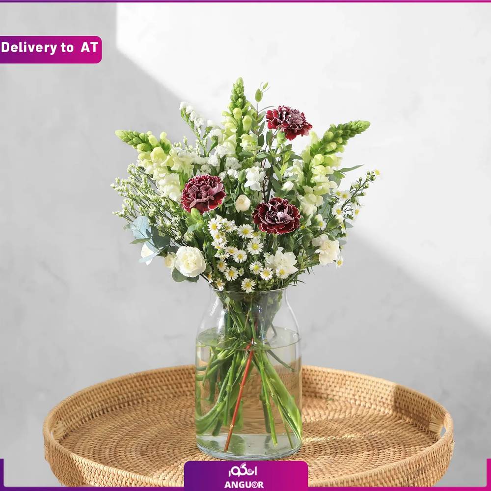 (Delivery to Austria) Benno