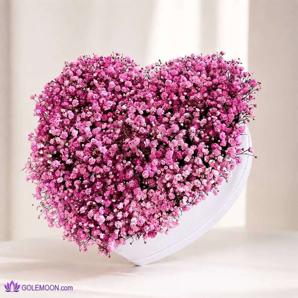 باکس گل رز و گل عروس