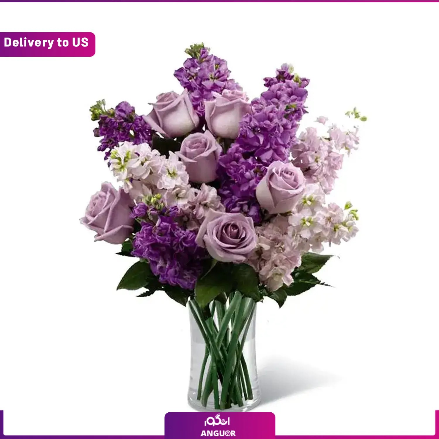 (Delivery to USA) Sweet Devotion