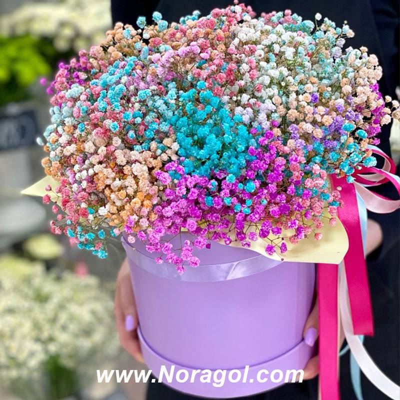 باکس گل ژیپسوفیلا رنگی