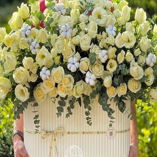 ماه آیین