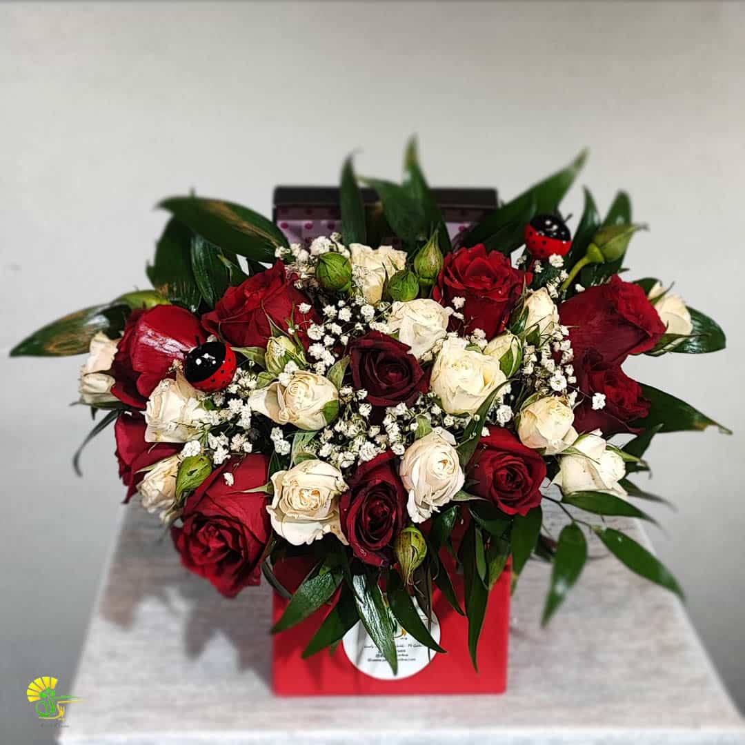 باکس گل کفشدوزک