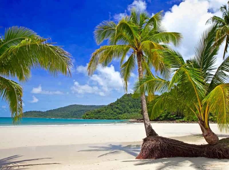 طرح کد B 650