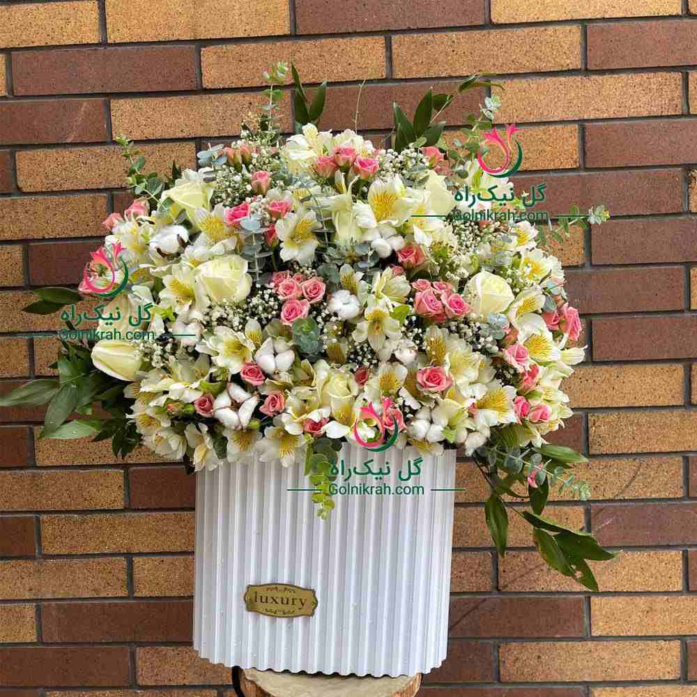 باکس گل بهدخت