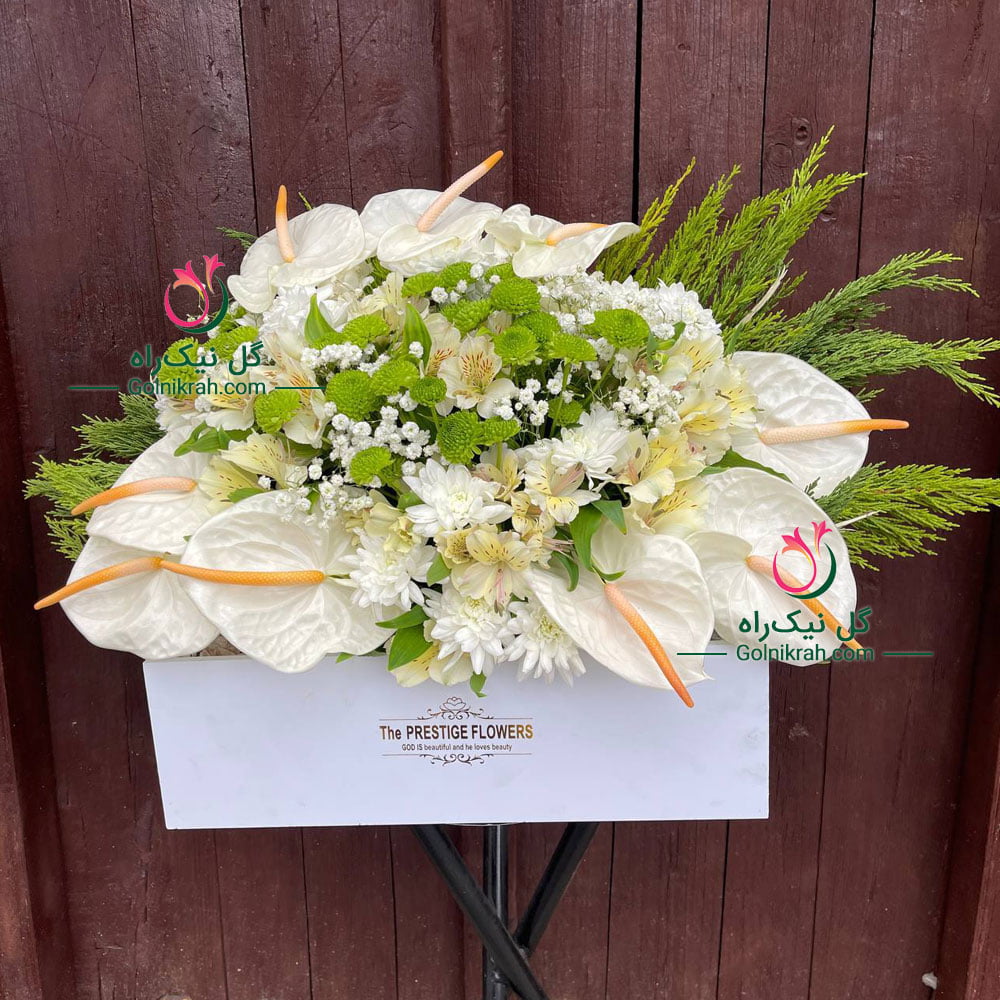 باکس گل شاهپسند