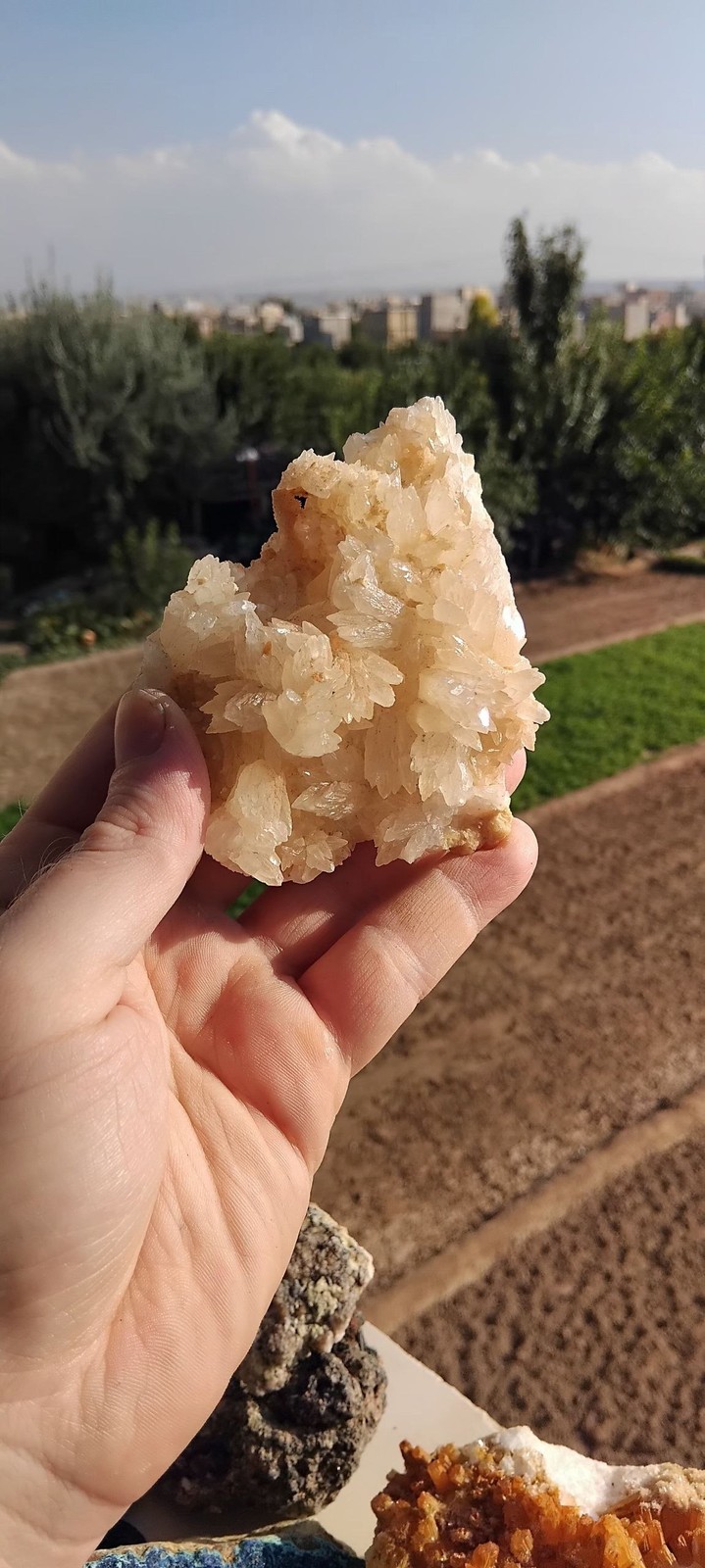 کلسیت فلاور
