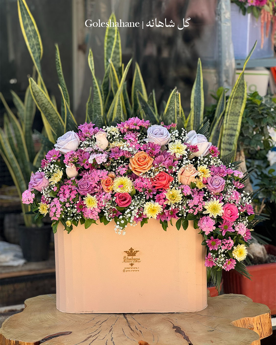 باکس گل کد 86
